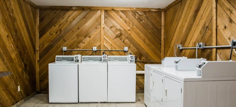 伊克诺旅馆(Econo Lodge Busch Gardens)图片