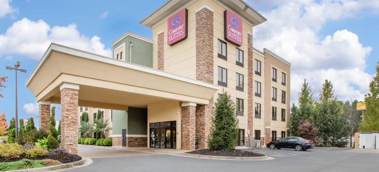 洛克斯特格罗夫亚特兰大南舒适全套房酒店(Comfort Suites Locust Grove Atlanta South)图片