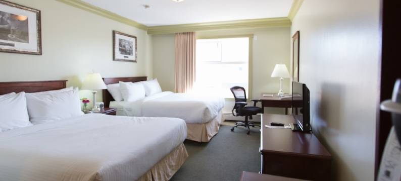 北极酒店(Hotel Arctic)图片