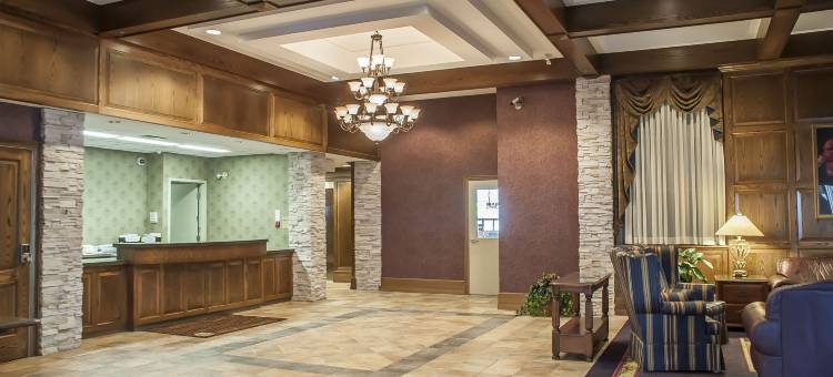 舒适酒店-伦迪巷(Comfort Inn Lundy's Lane)图片