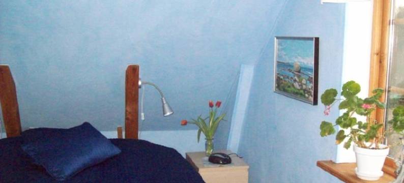 卡尔森帕维克公寓(Carlssons på Vik)图片