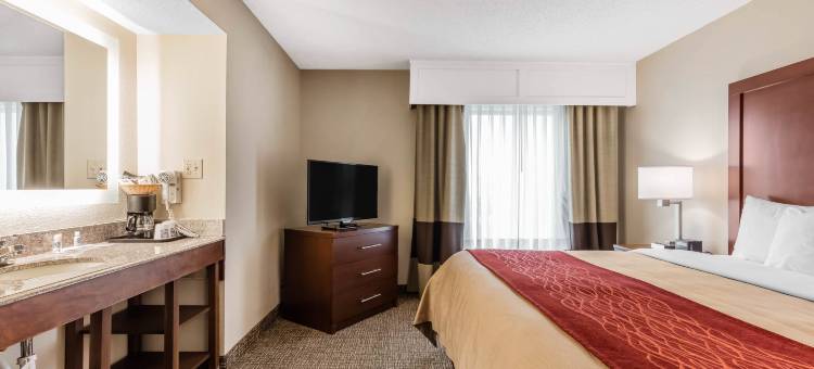 机场舒适套房酒店(Comfort Inn & Suites Airport)图片