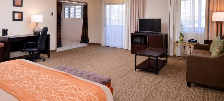 卡斯特罗谷舒适酒店(Comfort Inn Castro Valley)图片