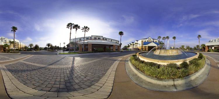 奥兰多莱克布纳维斯塔万豪别墅万枫套房酒店(Fairfield Inn & Suites by Marriott Orlando Lake Buena Vista in The Marriott Village)图片