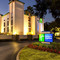 Holiday Inn Express 坦帕布兰登