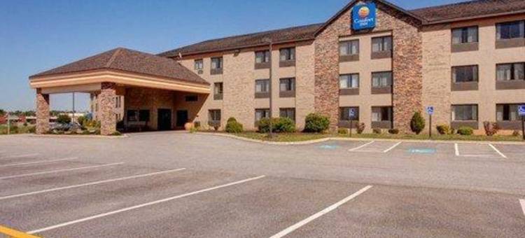 舒适酒店(Comfort Inn)图片