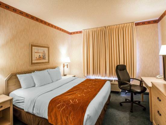 Comfort Suites Peoria Sports Complex Hotel Reviews And Room Rates