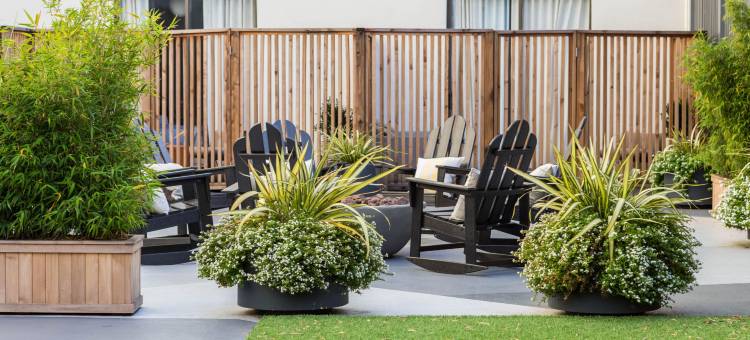 金普顿恩索酒店(Kimpton Hotel Enso)图片