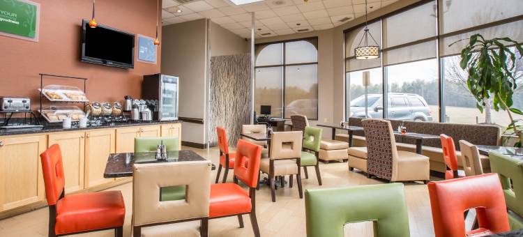 阿什维尔北部舒适酒店(Comfort Inn North of Asheville)图片