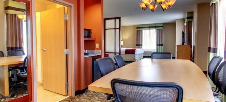 机场舒适套房酒店(Comfort Suites Airport)图片