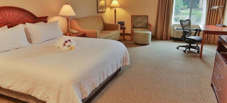 希尔顿花园酒店-萨凡纳机场(Hilton Garden Inn Savannah Airport)图片