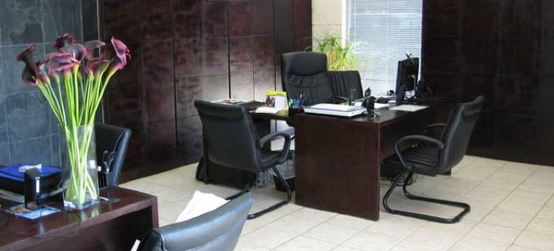 蓝棕榈酒店(Blue Palm Hotel)图片