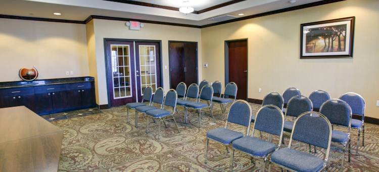 纳瓦索塔舒适套房酒店(Comfort Inn & Suites Navasota)图片