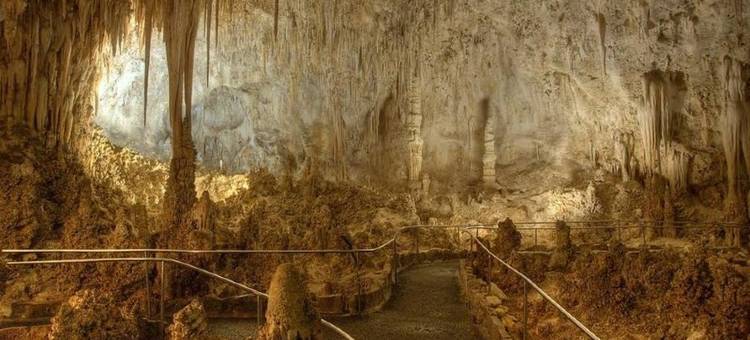 罗德威旅馆卡尔斯巴德洞穴区(Rodeway Inn Carlsbad Caverns Area)图片