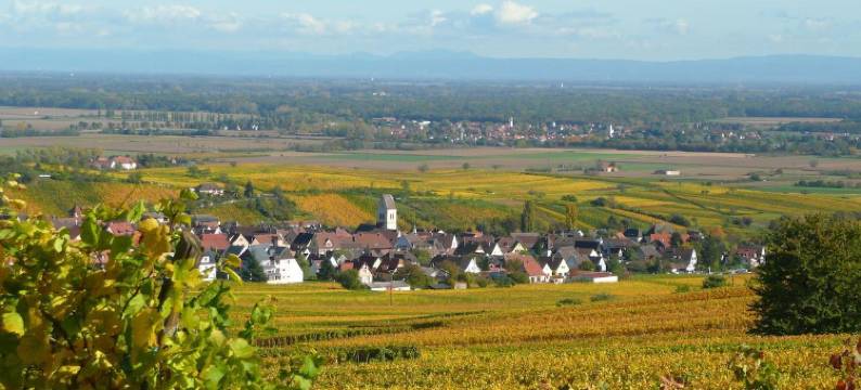 阿尔萨斯GM住宿加早餐旅馆(Le GM Chambres d'Hôtes de Charme en Alsace)图片