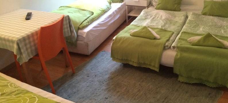 姜戈夫施城市酒店(Cityhotel Junger Fuchs)图片