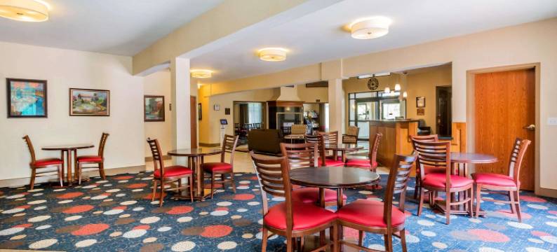 伯灵顿南舒适套房酒店(Comfort Inn & Suites)图片