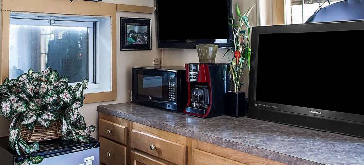 火鹤旅馆(Flamingo Inn)图片