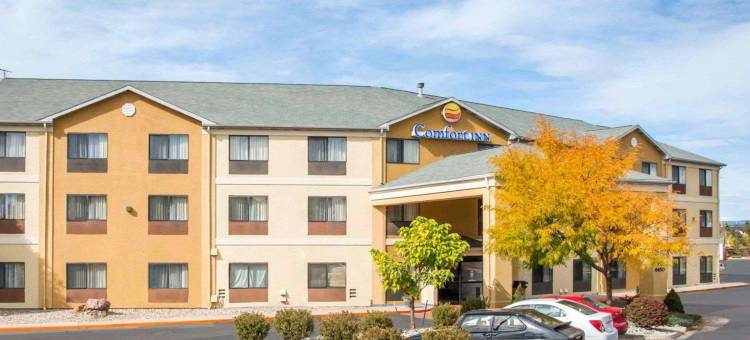 空军学院区北舒适酒店(Comfort Inn North - Air Force Academy Area)图片