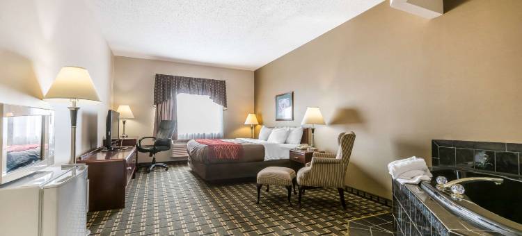 巴达维亚 - 达瑞恩主题乐园菲布丽套房旅店(FairBridge Inn & Suites Batavia-Darien Amusement Park)图片
