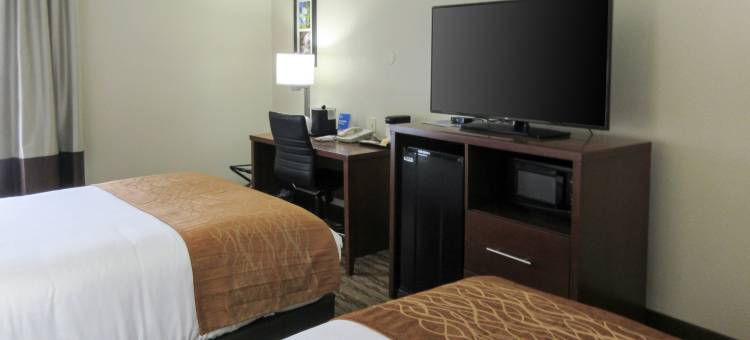 阿什维尔东-蓝岭山行车通道舒适酒店(Comfort Inn Asheville East-Blue Ridge Pkwy Access)图片