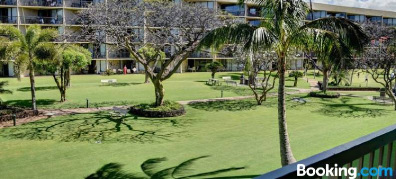 Maui Sunset B215图片