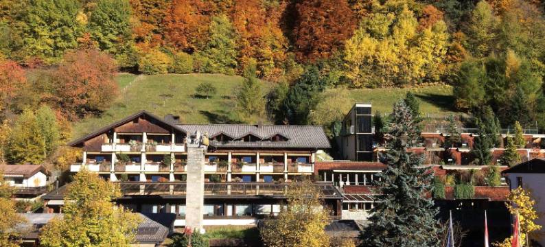 阿卡缇弗阿尔彭罗斯温泉酒店(Aktiv & Spa Hotel Alpenrose)图片