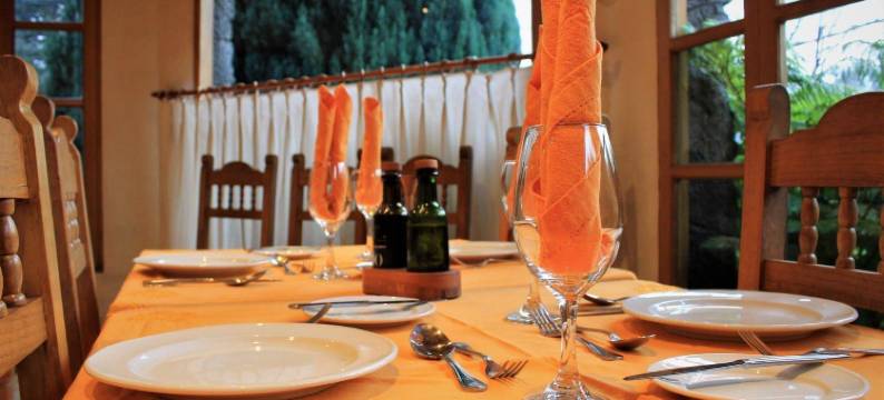 马拉霍酒店(Hotel Malalhue)图片