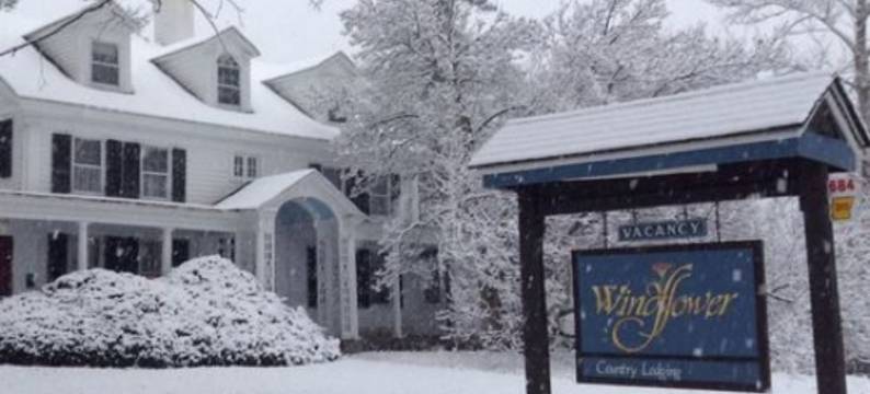 风花酒店(Windflower Inn)图片