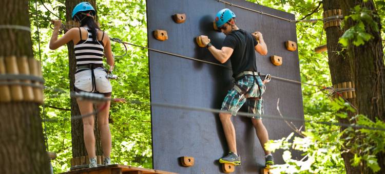 恩萨纳温泉沙尔堡酒店(Ensana Thermal Sárvár)图片