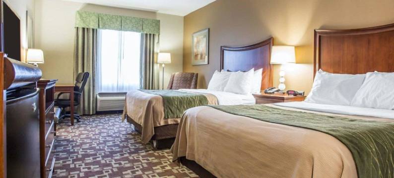 舒适套房酒店(Comfort Inn & Suites)图片