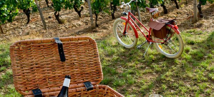 卡里昂 SPA 酒店(Frédéric Carrion - Cuisine, Hôtel & Spa)图片