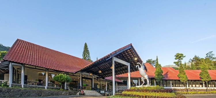 布罗莫格兰德威兹酒店(Grand Whiz Hotel Bromo)图片