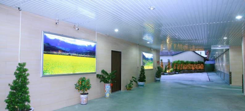 花莲帝堡商务汽车旅馆图片