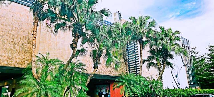 Q Motel 汽车旅馆图片