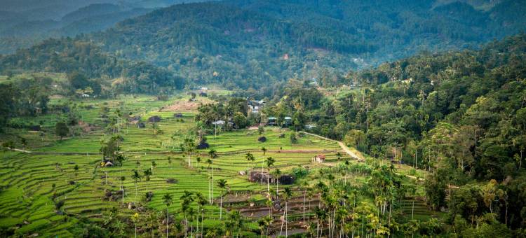 格伦罗克酒店(The Glenrock Wellness Nature Resort)图片