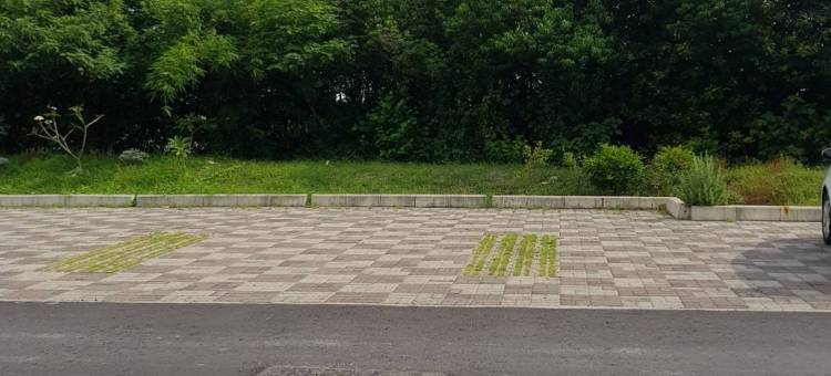 屏东禾田民宿图片