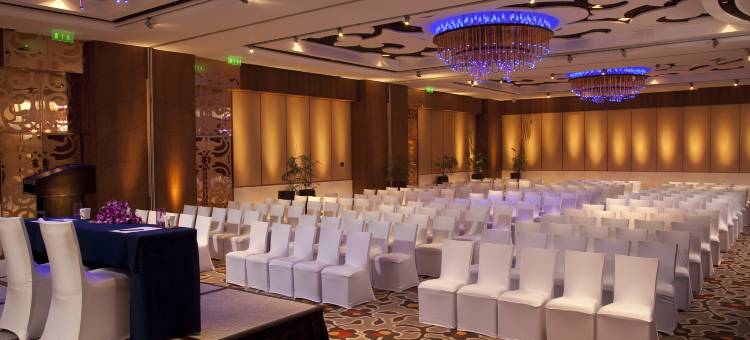 新德里奥卡哈皇冠假日酒店(Crowne Plaza New Delhi Okhla)图片