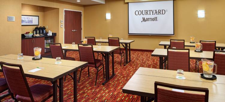 底特律-利沃尼亚万怡酒店(Courtyard Detroit Livonia)图片