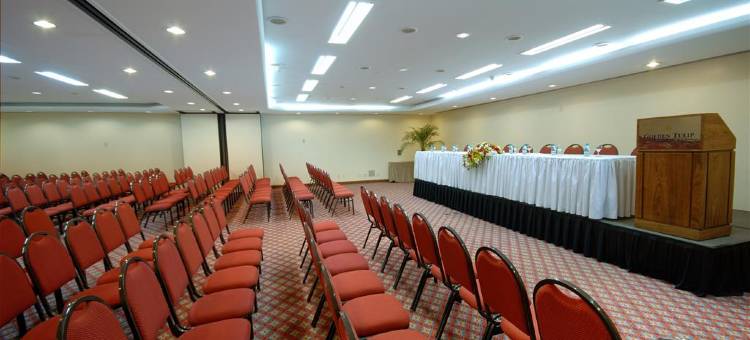 沙迦金色郁金香酒店(Golden Tulip Sharjah)图片