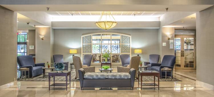 Holiday Inn 阿灵顿的AT巴尔斯顿(Holiday Inn Arlington at Ballston)图片