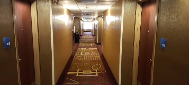 卡斯特罗谷智选假日酒店(Holiday Inn Express Castro Valley)图片