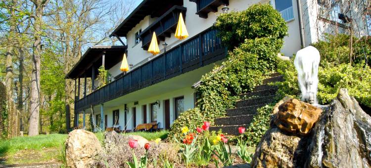 嘎斯福乐百克文卡酒店(Hotel Gasthof Lohbachwinkel)图片