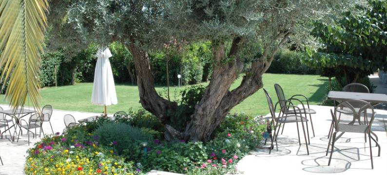 米尔托酒店(Myrto Hotel)图片