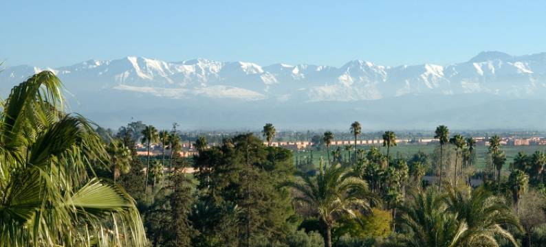 拉玛穆尼亚宫廷花园酒店(La Mamounia Marrakech)图片