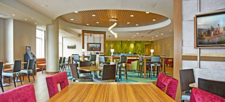 匹兹堡芒特莱巴嫩万豪SpringHill Suites 酒店(SpringHill Suites Pittsburgh Mt. Lebanon)图片
