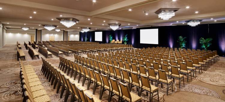 喜来登阿纳海姆度假公园酒店(Sheraton Park Hotel at The Anaheim Resort)图片