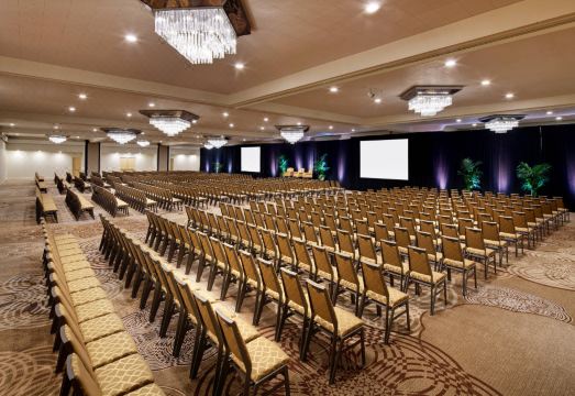 Sheraton Park Hotel at The Anaheim Resort Hotel Overview