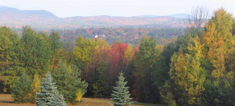 汉尼克汽车旅馆(Henniker Motel)图片