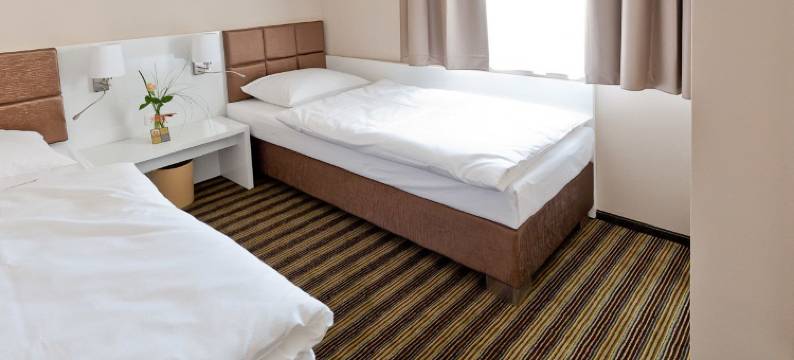 萨尔斯歌德酒店(Hotel Selzgold)图片